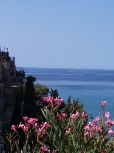 صورة الفندق 14