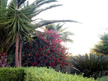 صورة الفندق 20