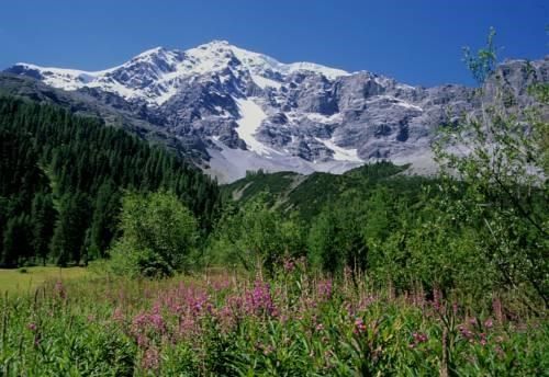 صورة الفندق 6