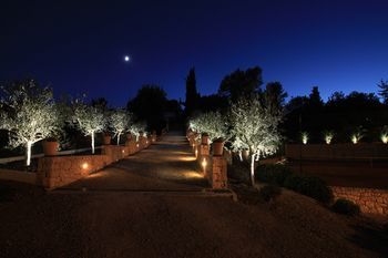 صورة الفندق 22