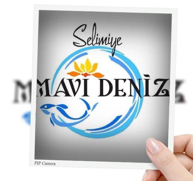 صورة الفندق 8