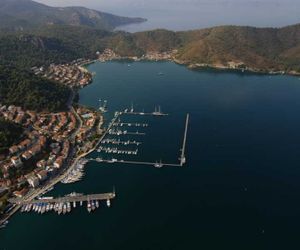 Racing With Glory Dolphins Oludeniz Turkey