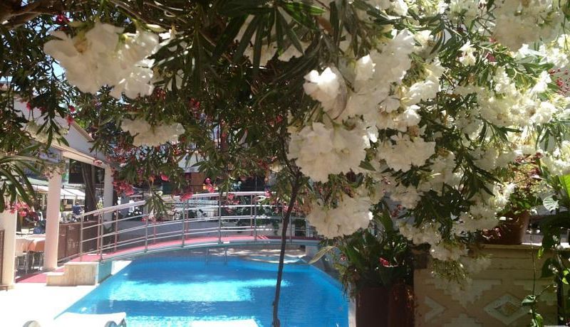 صورة الفندق 22