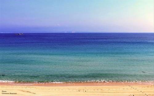 صورة الفندق 20