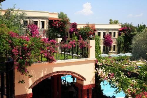 صورة الفندق 24