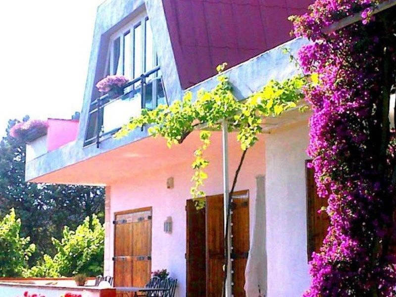 صورة الفندق 1