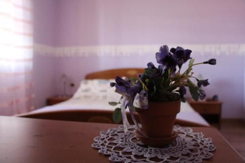 صورة الفندق 19