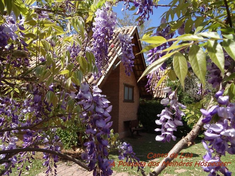 صورة الفندق 20