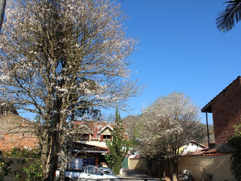 صورة الفندق 14