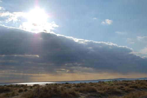 صورة الفندق 19