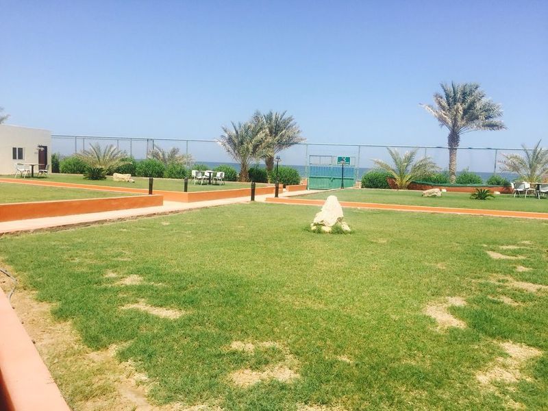صورة الفندق 21