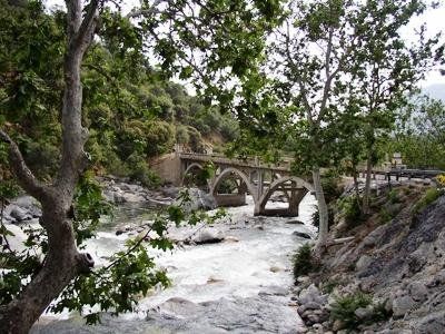 صورة الفندق 20