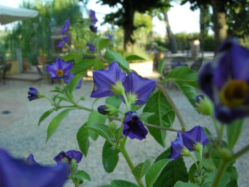 صورة الفندق 23