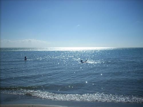 صورة الفندق 21