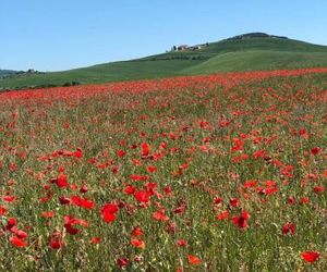 Agriturismo Poggio Tobruk Pienza Italy