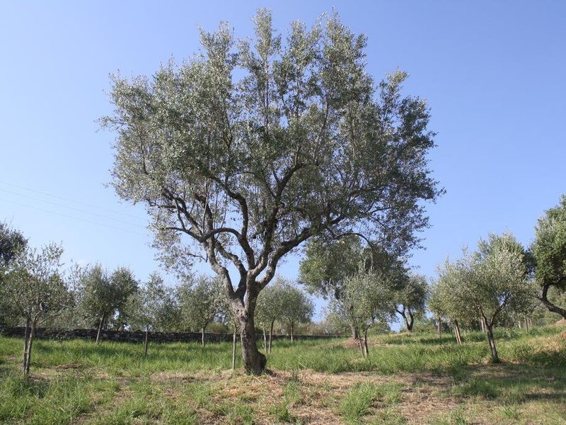 صورة الفندق 16