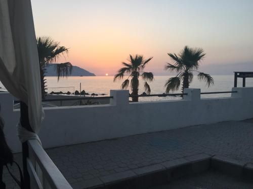 صورة الفندق 24