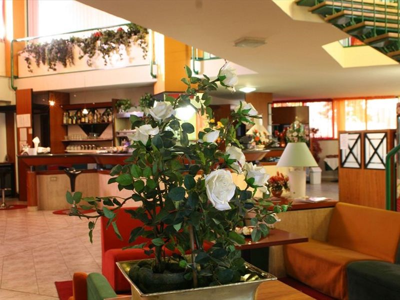 صورة الفندق 7