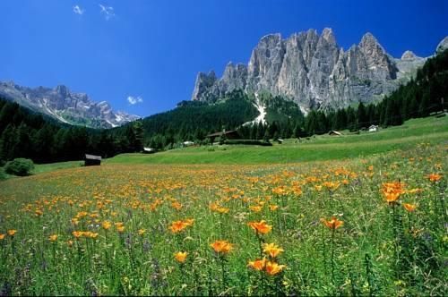 صورة الفندق 10