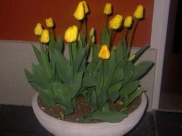 صورة الفندق 15