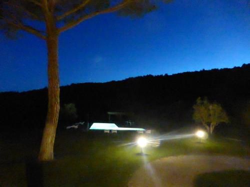 صورة الفندق 16