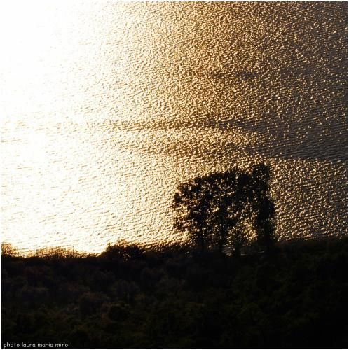 صورة الفندق 23