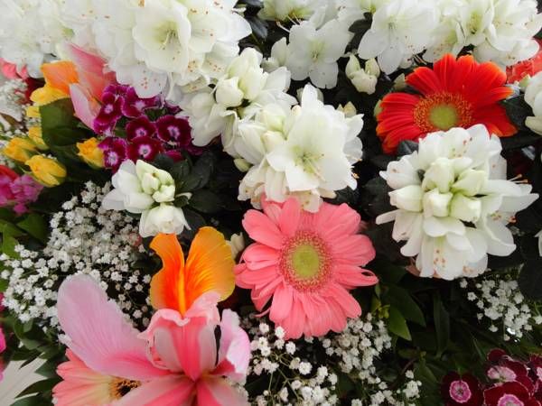 صورة الفندق 20
