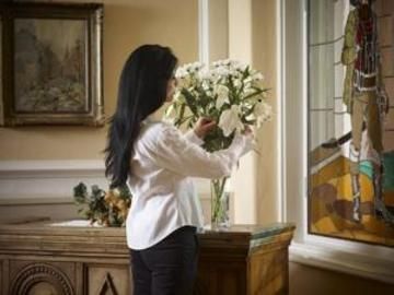 صورة الفندق 22