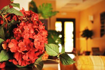 صورة الفندق 16