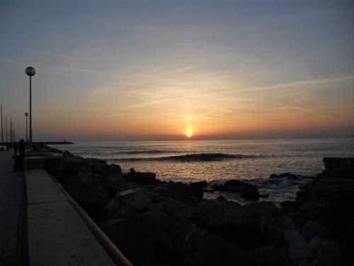 صورة الفندق 22