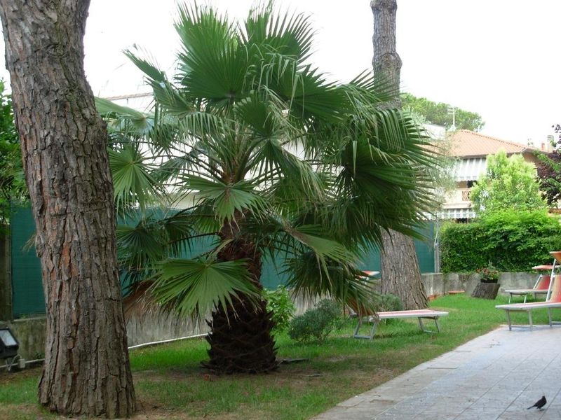 صورة الفندق 16