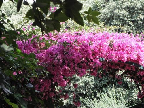 صورة الفندق 18