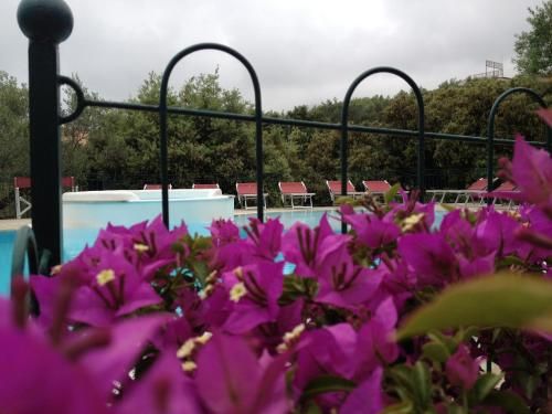 صورة الفندق 24