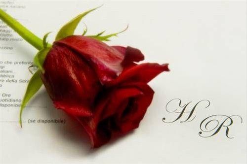 صورة الفندق 12