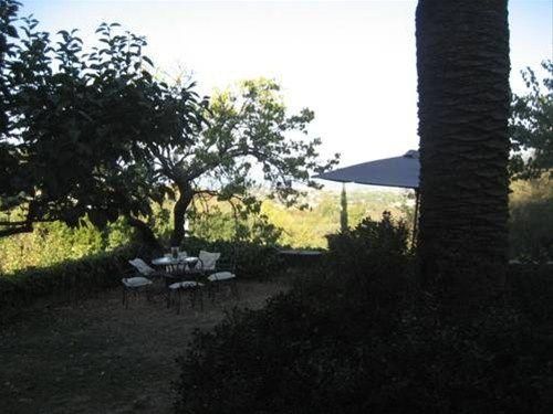 صورة الفندق 16