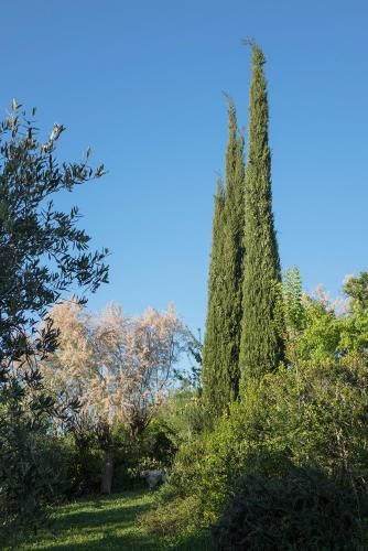 صورة الفندق 21