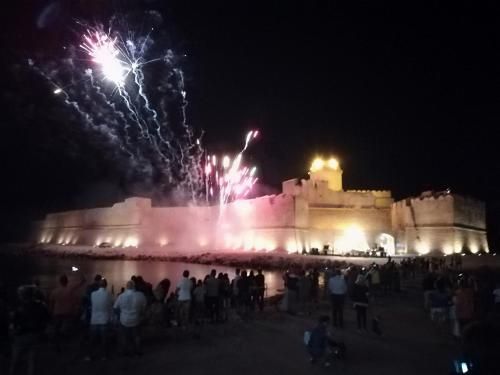 صورة الفندق 20