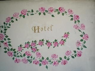 صورة الفندق 8