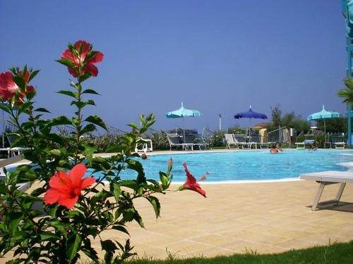 صورة الفندق 16