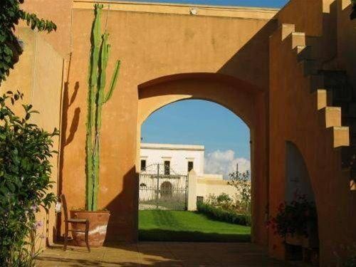 صورة الفندق 24