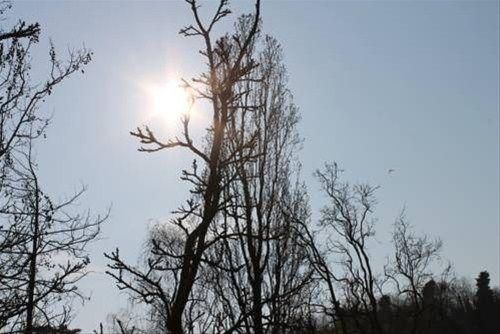 صورة الفندق 21