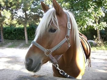 صورة الفندق 17