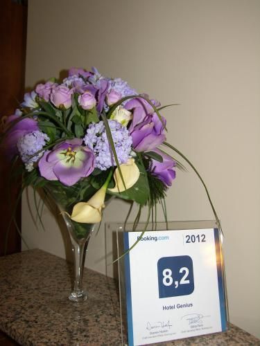 صورة الفندق 16