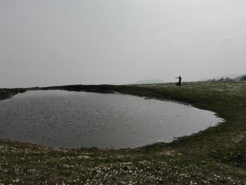 صورة الفندق 20