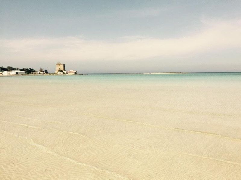 صورة الفندق 16