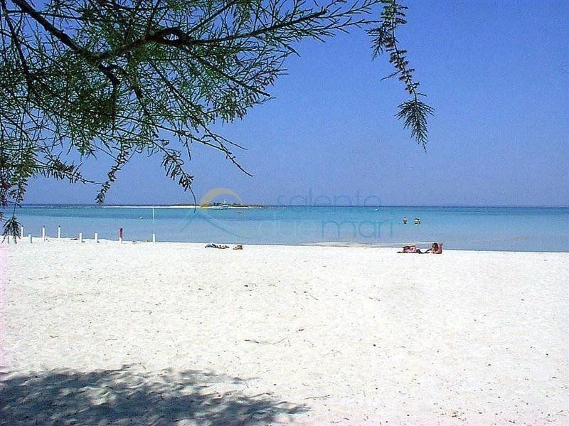 صورة الفندق 17