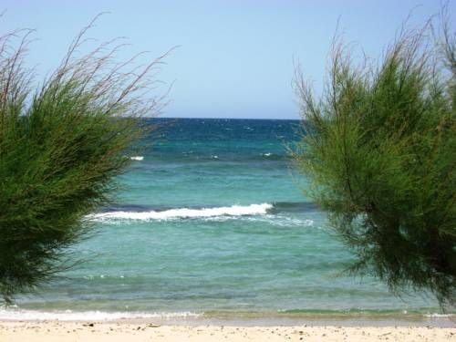 صورة الفندق 19