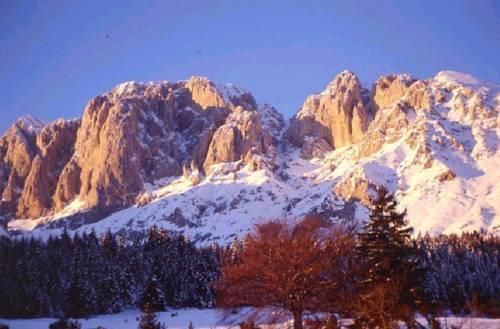 صورة الفندق 22