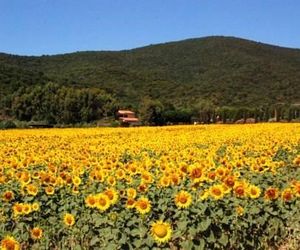 Agriturismo Valborgina Castiglione della Pescaia Italy