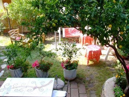 صورة الفندق 18